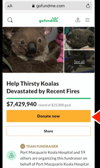 コアラ募金　トップページ